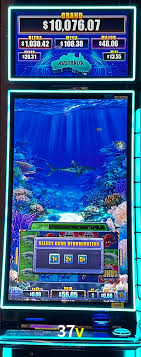 Bônus Generosos e Exclusivos no 37v para Você!